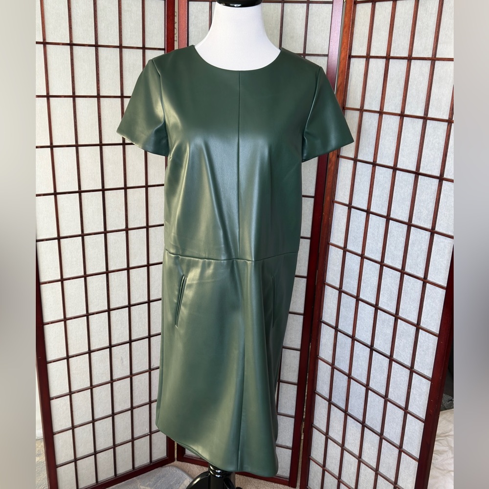 Ann Taylor Faux Leather Dress